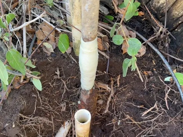 Underground water service line or exterior pipe repair for Cherry Hills Village