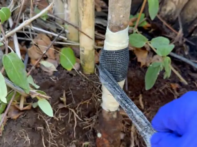 Underground water service line or exterior pipe repair for Greenwood Village