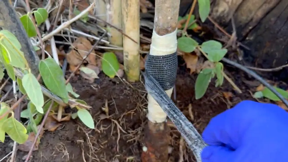 Underground water service line or exterior pipe repair for Winterized exterior plumbing in Parker